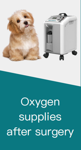 MICiTECH vente chaude stabke performance animal animal de compagnie vétérinaire importateur générateur d'oxygène portable concentrateur d'oxygène 10 lpm - Product Image 6