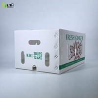 Boîte d'emballage en plastique ondulé pour légumes et gingembre, imperméable, écologique, en PP, réutilisable, empilable, légère