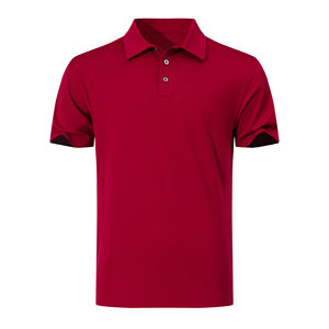Tùy Chỉnh 100% Polyester Phòng Tập Thể Dục Cho Polo Áo Sơ Mi Cho Nam Giới Nhanh Chóng Khô & Rắn Oxford Với Thêu Logo Tối Băng Lụa Đồng Bằng Màu Sắc - Product Image 4