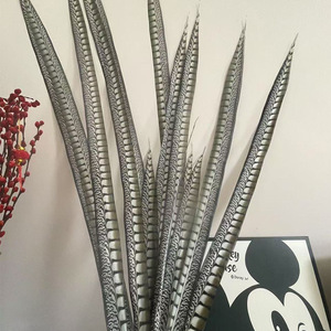 Bán Buôn Lễ Hội Lễ Hội Trang Trí 60Cm 80Cm 100Cm 120Cm 150Cm Giá Rẻ Nhân Tạo Reeves Gà lôi Đuôi Lông - Product Image 2