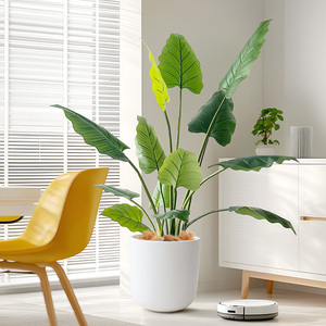 Albero Artificiale di Philodendron Erubescens in Plastica Verde Smeraldo, Leggero e di Alta Qualità, dall'Aspetto Naturale che Aggiunge Bellezza - Product Image 4