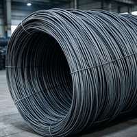 Fil de fer noir Q195 Q235 pour l'exportation usine, matière première pour clous et agrafes en fer