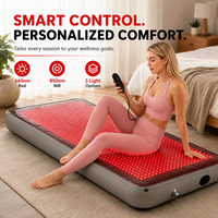 Appareil portable professionnel de luminothérapie rouge 660 nm et chaleur infrarouge gonflable pour le corps entier, soulagement des articulations, usage domestique
