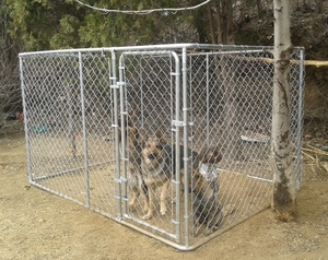 Jaula para perros al aire libre fácil de instalar, <span class=keywords><strong>casa</strong></span> para mascotas de hierro sostenible utilizada para deportes para perros - Product Image 1