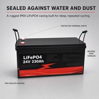 Batterie LiFePO4 à décharge profonde pour stockage d'énergie solaire domestique, étanche IP65, auto-chauffante, Bluetooth, OEM ODM, 12V 24V 48V