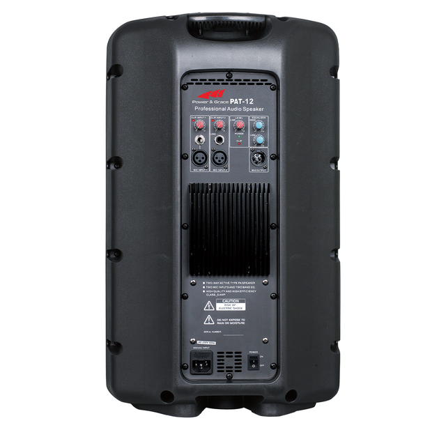 12" 15 Inch 300W High Power Pro Audio PA 2 Way Active Speaker With EQ, Multi-Channel Microphone and Line Input and Digital Amp