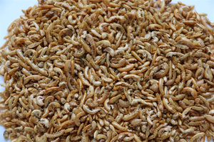 Alimentation pour Tortues et Poissons : <span class=keywords><strong>Gammarus</strong></span> et Crevettes Séchés au Soleil 100% Naturels, Jaune 0,5-1cm, pour la Santé de la Peau et du Pelage - Vente en Gros Fabricants - Product Image 3