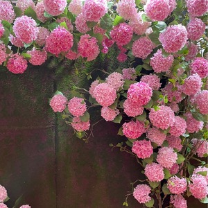 <span class=keywords><strong>Hortensia</strong></span> 3D de una sola rama de alta calidad, venta al por mayor, arreglo de flores falsas para decoración del hogar, bodas, fotografía, hoteles, piezas de tallo - Product Image 2