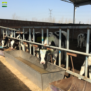 Proyecto Llave en Mano para Granja Lechera <span class=keywords><strong>Holstein</strong></span> de 500 Vacas: Diseño de Planta, Establos, Sistema de Ordeño, Tratamiento de Estiércol y Equipamiento para Cría de <span class=keywords><strong>Ganado</strong></span> - Product Image 1