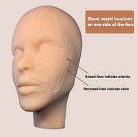 Tête de mannequin d'entraînement aux injections faciales en silicone KyrenMed, entièrement en silicone souple avec des os et des localisations des vaisseaux sanguins sur la moitié du visage