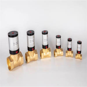 Zuiger <span class=keywords><strong>Oscillator</strong></span> Pneumatische Lucht Vibrator Pneumatische Lucht Magneetventiel FP-12-18-25-32-35-40-50-60-80-100-M - Product Image 4