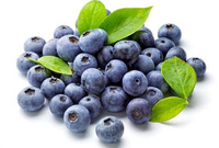 Hoogwaardig natuurlijk voedingsmiddelkwaliteit 5%-25% Anthocyanen Blauwe Bes Fruit Sap Blauwe Bes Extract Poeder