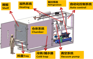 Composants d'engrenage pour machine de lyophilisation sous vide série FD haute efficacité, capacité 1000 <span class=keywords><strong>kg</strong></span> par lot, pour la transformation alimentaire, niveau de sécurité élevé - Product Image 4