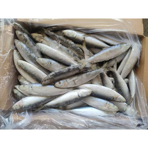 <span class=keywords><strong>Maquereau</strong></span> congelé surgelé en provenance de Chine, WR 4-6 6-8 pièces/kg, exportateur d'usine - Product Image 1