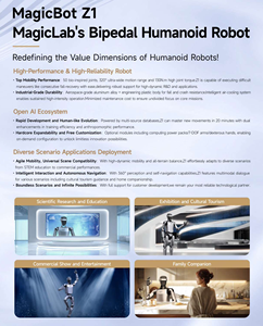 Robot Humanoide, Pinta Tu Propia Apariencia, Articulaciones Ligeras y Flexibles - Product Image 4