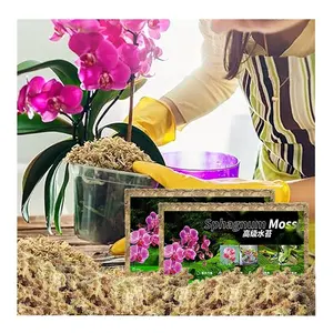 Venta al por mayor no tóxico limpio y natural musgo Sphagnum para plantas de orquídeas