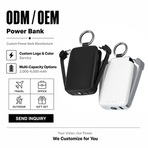พาวเวอร์แบงค์พกพาแบบพวงกุญแจสำหรับ iPhone ความจุ 2000mAh/4000mAh สายชาร์จฉุกเฉินขนาดเล็ก ไฟ LED ดีไซน์บางเฉียบ ช่องเสียบ Type-C ปรับแต่งได้ - Product Image 1