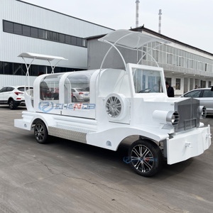 Electric Funeral Car Manufacturer/High Quality Chariot Hearse for Funeral / Hearse Carriage for Sale - Product Image 3