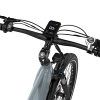 Bicicleta Eléctrica BMX de Almacén con Asistencia Eléctrica, Batería de Litio de Hierro de 48V 15Ah, Motor Trasero sin Escobillas de 250W, Neumático Ancho, E-Bike KOOLUX