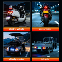 Lumière LED pour plaque d'immatriculation de moto, effet œil de démon, clignotante, feu arrière, lumière d'ambiance décorative