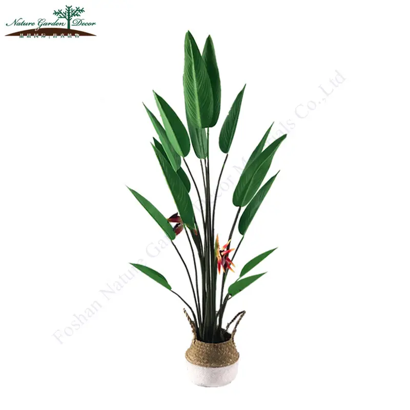 Indoor Plant Indoor/Outdoor Fashion Red Skybird Flower Plant For Sale Sky Bird