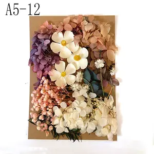 A-1111 Tự Nhiên Hoa Khô Thiết Lập Hỗn Hợp Nhiều Hoa Khô Đầy Màu Sắc Thực Hoa Khô Cho Nhựa DIY Thủ Công Hoa Trang Trí
