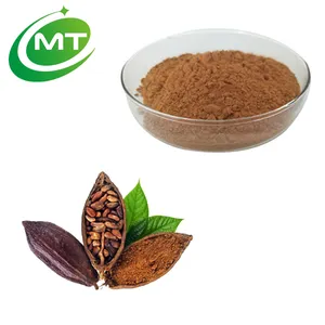 Ekstrak Kakao Organik 9% Theobromine Powder Theobromo Cacao Seed Extract Powder untuk Minuman Energi