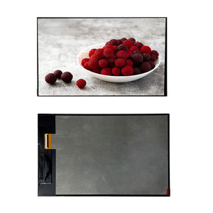 Display Industriale da 10.1 Pollici 1200x1920 Alta Risoluzione 600 Nits Personalizzabile Touch G+G/G+P Interfaccia MIPI -10~60 ℃   Ampia Gamma di Temperature - Product Image 5