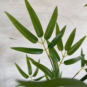Plante artificielle en <span class=keywords><strong>bambou</strong></span> en plastique, décoration de style moderne et luxueux, feuilles simulées respectueuses de l'environnement <span class=keywords><strong>pour</strong></span> une utilisation en intérieur et en extérieur - Product Image 3