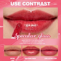 Nouveau Rouge à Lèvres 5 Couleurs Anti-transfert, Gloss Hydratant Effet Brume, Teinture à Lèvres