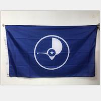 Drapeau de Pohnpei personnalisé de haute qualité 100% polyester 3x5 pieds, drapeaux des îles de Micronésie avec œillets en laiton pour décoration intérieure et extérieure