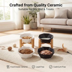 Comedero elevado de cerámica para gatos con soporte de bambú, tazón elevado para gatos de interior y perros pequeños - Product Image 4