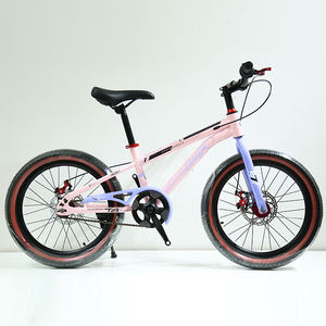 <span class=keywords><strong>Bicicleta</strong></span> de Montaña de 20 Pulgadas, Una Velocidad, para Deportes al Aire Libre, con Llanta de Acero y Aleación de Aluminio - Product Image 4