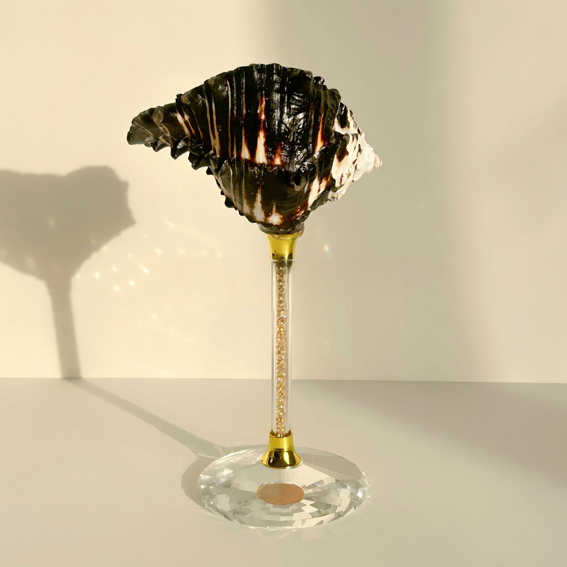 Verre à vin escargot en os noir-ciel étoilé or