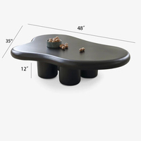 Ménage nordique minimaliste et luxueux Unique noir élégant Table basse crème vent nuage Table à thé