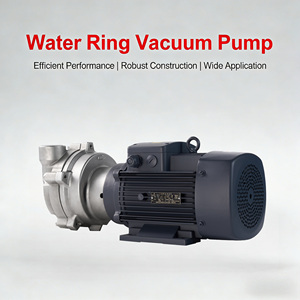 Pompe à vide industrielle à circulation d'eau haute performance 2BV2060, compresseur à anneau pour le traitement des eaux usées - Product Image 1