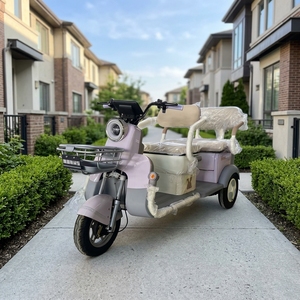 Triciclo Doble Mini, Scooter de 3 Ruedas de Baja Velocidad para Compras Diarias Familiares y Turismo - Product Image 2