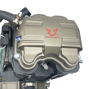 Usine OEM, tricycle à essence à trois <span class=keywords><strong>roues</strong></span> personnalisé Zongshen Jinzhan 250cc, refroidi par eau, adapté au transport de marchandises - Product Image 6