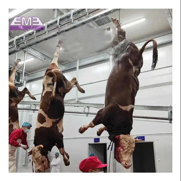 Modern Halal Cattle Abattoir - Efficient Slaughter Equipment