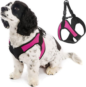 Custom Dog Harness No Pull with <b>Padded</b> Pulling Pet Harness Vest Soft Adjustable for Small Medium Pets Easy <b>Walking</b> Training - Product Image 4