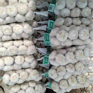 Ail <span class=keywords><strong>frais</strong></span> Ajo New Crop Ail blanc normal de bonne qualité Ail <span class=keywords><strong>acheter</strong></span> de l'ail 20kg sac en Chine - Product Image 1