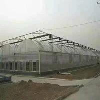 Serre d'extérieur Yanpeng GT BMLD en métal, grande, multi-travées, commerciale, en plastique, pour l'agriculture, facilement assemblable, vente en gros