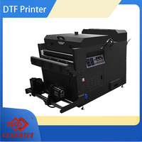 엡손 I3200-A1 투 헤드 DTF 프린터 DF700 새로운 조건 직접 필름 인쇄 솔루션 1 년 안료 A1 분말 셰이커 시스템
