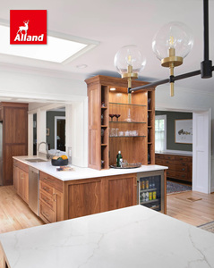 Armoires de cuisine Alland, style américain moderne, en chêne rouge foncé massif, portes shaker, finition teintée, avec panneau en maille métallique - Product Image 6