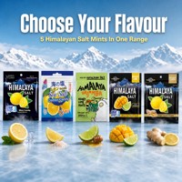 Sea Salted Lemon Mint & Ginger Juice Candy 15g Bag Packaging for Casual Snacking Wholesale Available
