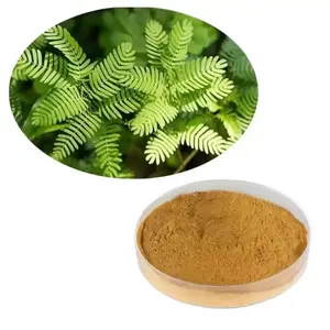Estratti vegetali organici naturali corteccia di radice di Mimosa in polvere 10:1 20:1 estratto di corteccia di radice di Mimosa