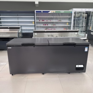 Congélateur coffre commercial grande capacité à air direct, 2 portes, contrôle numérique de la température pour supermarchés et restaurants - Product Image 1