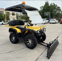 Soplador de Nieve a Gasolina, Autopropulsado, con Faro, para Remover Nieve en Caminos y Entradas de Vehículos en Invierno