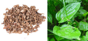 Venda Direta Da Fábrica Entrega Rápida Alta Qualidade 10:1 <span class=keywords><strong>Radix</strong></span> Stemona Extrato Em Pó - Product Image 2