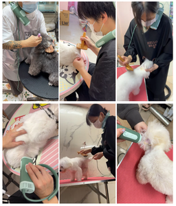 Profession elles Haustier gebläse mit einstellbarer Geschwindigkeit und geräuscharmem Haustier trockner für Tierkliniken - Product Image 6